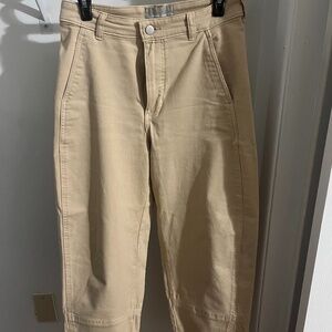 Everlane Utility Barrel Pant